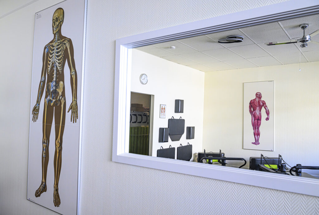 Studio 1 - Anatomietafeln